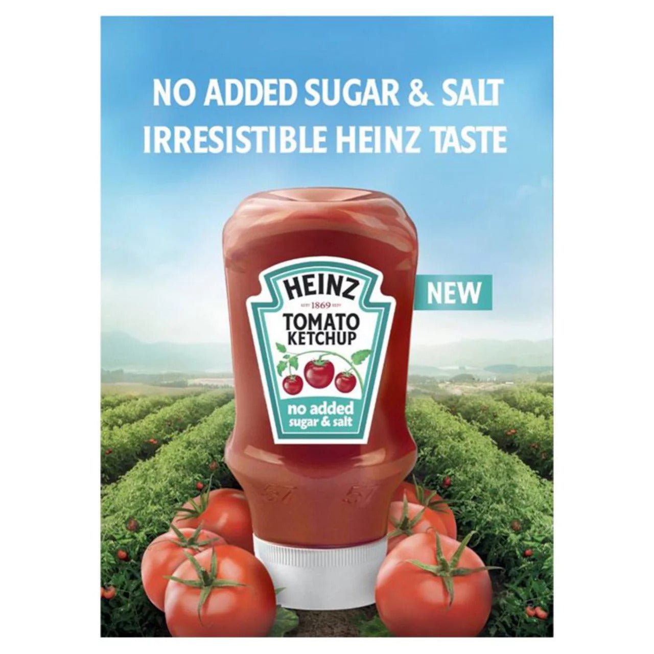 ๐
Heinz Tomato Ketchup No Added Sugar & Salt 425g โ Healthier British Ketchup