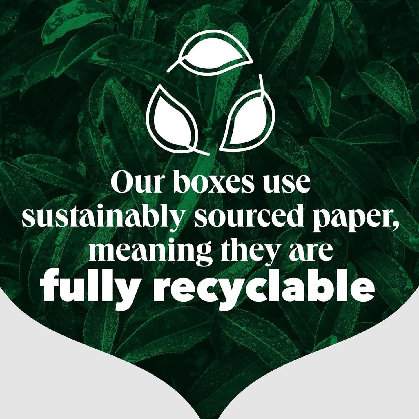 Recyclable symbol with text about sustainably sourced paper on a leafy green background