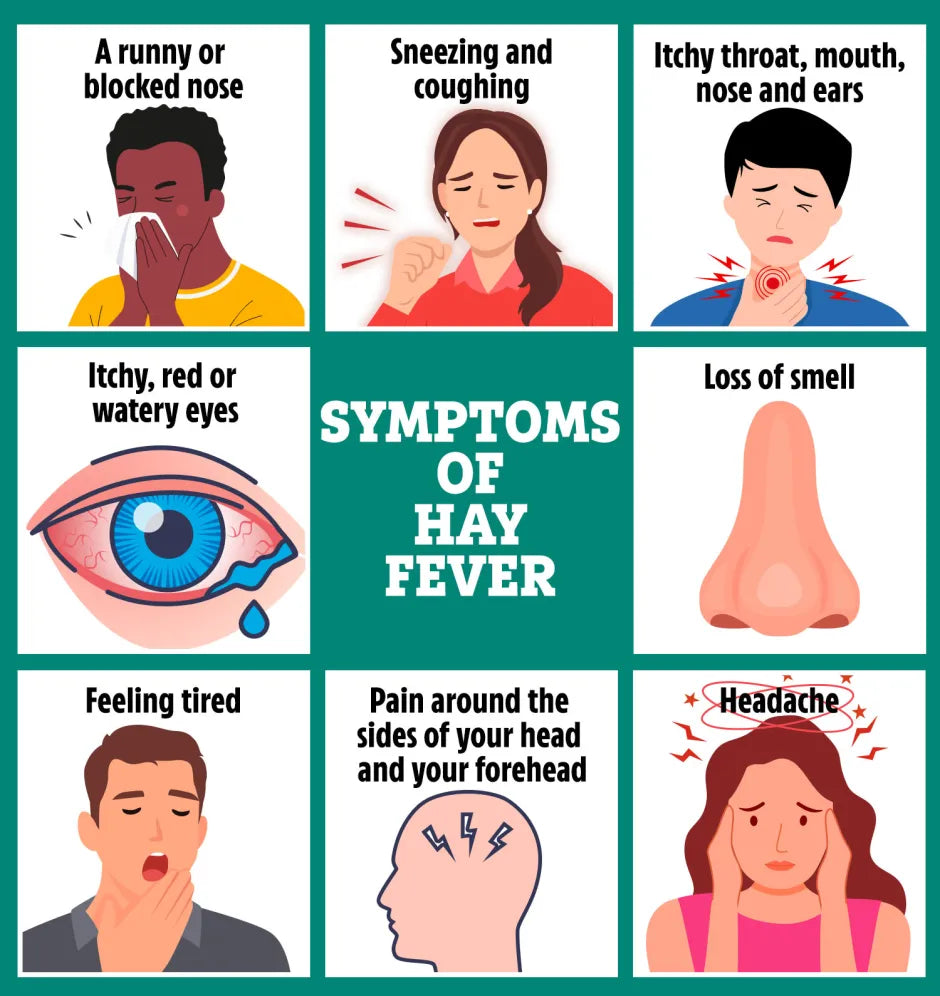 Chart detailing symptoms of hay fever with illustrations and text.