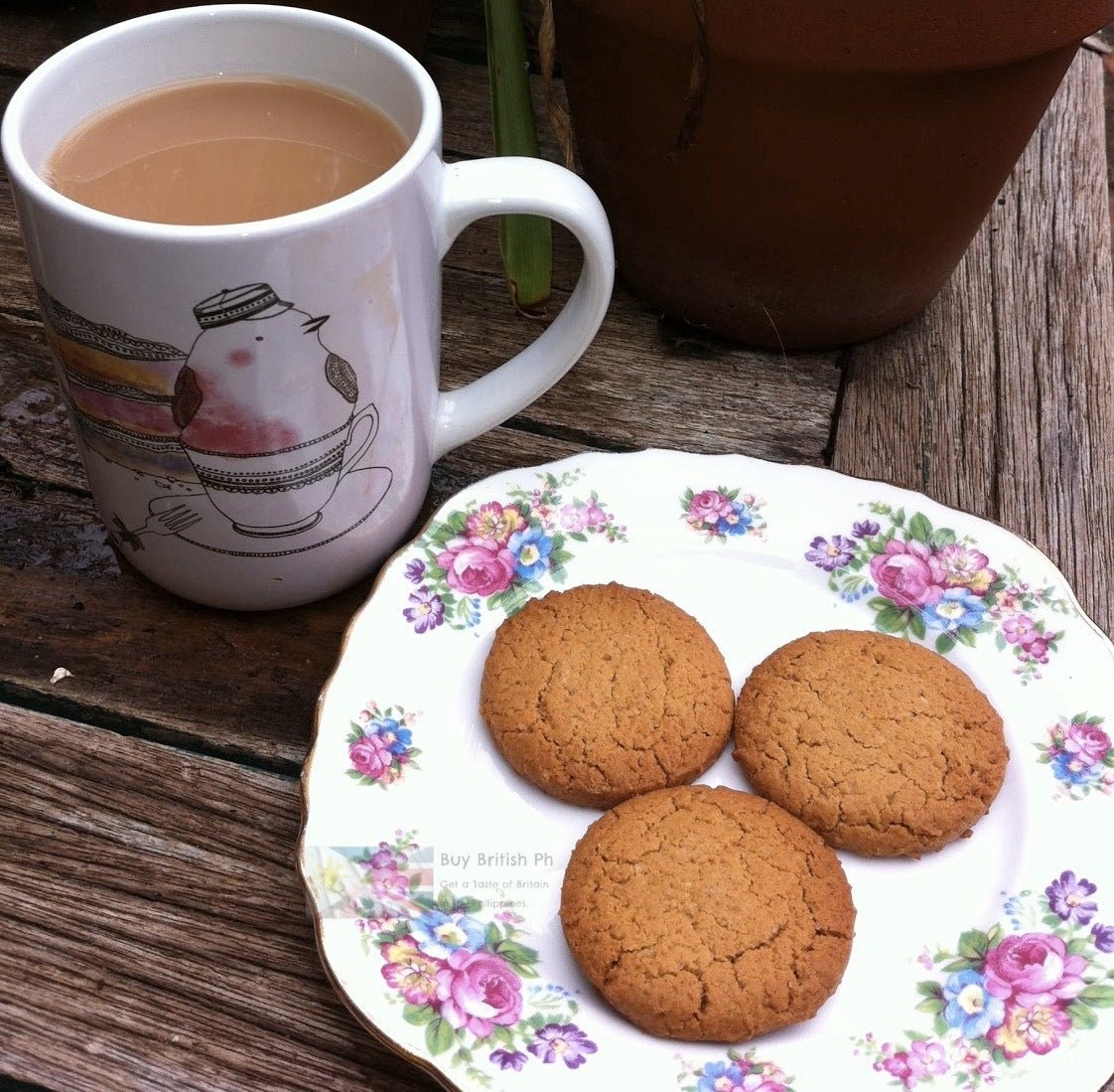 Ginger Nuts – British Spicy Biscuits, Buy British PH
