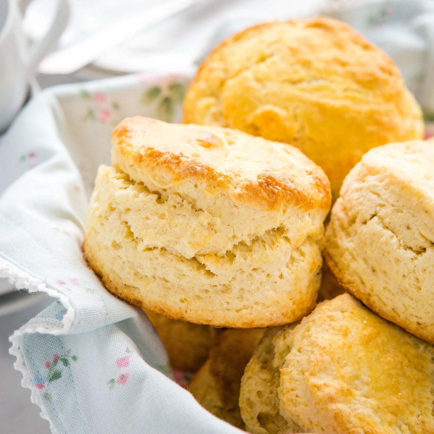 Scone – British Scone , Buy British PH