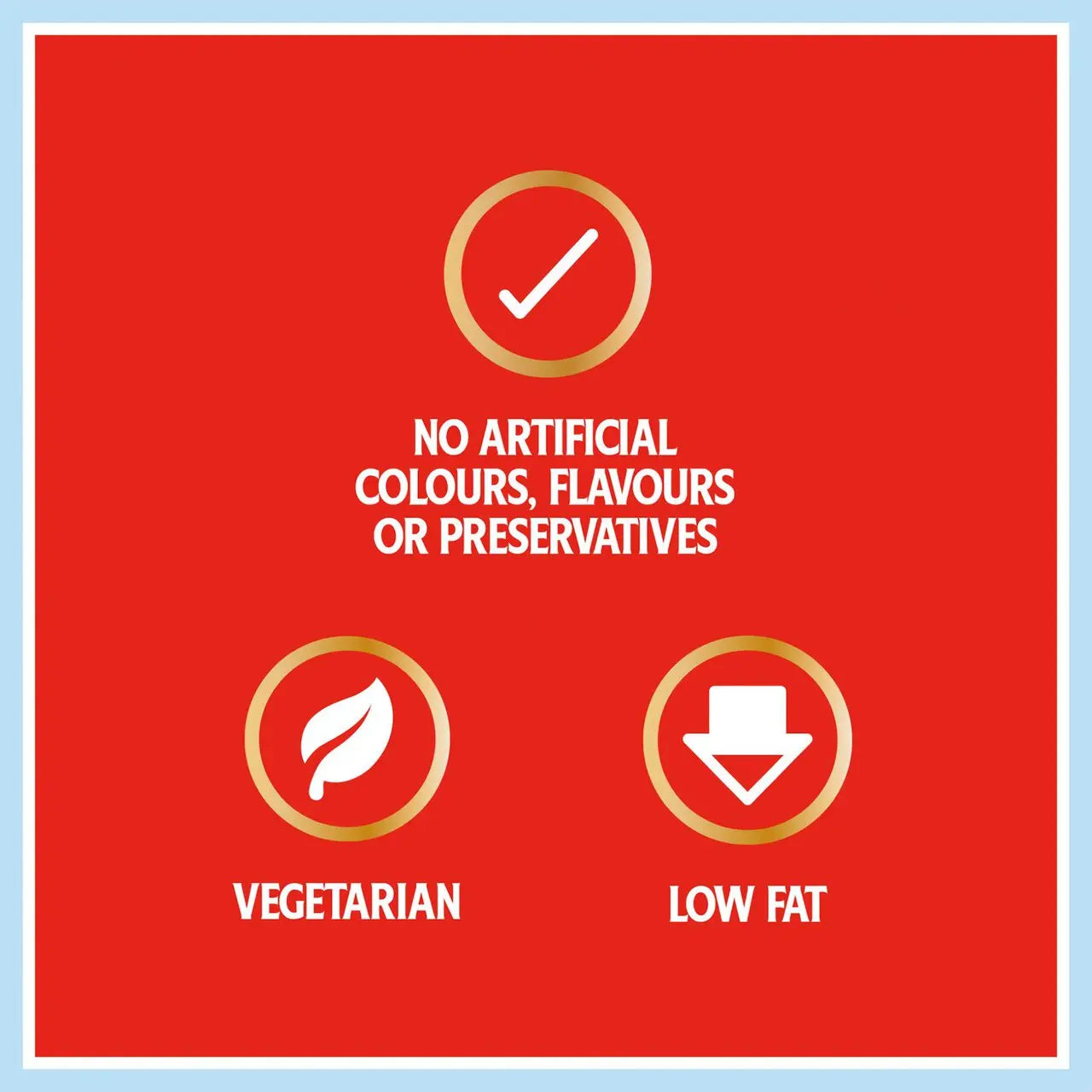 Red label with vegetarian, low fat, and no artificial colors or flavors icons on a blue border.
