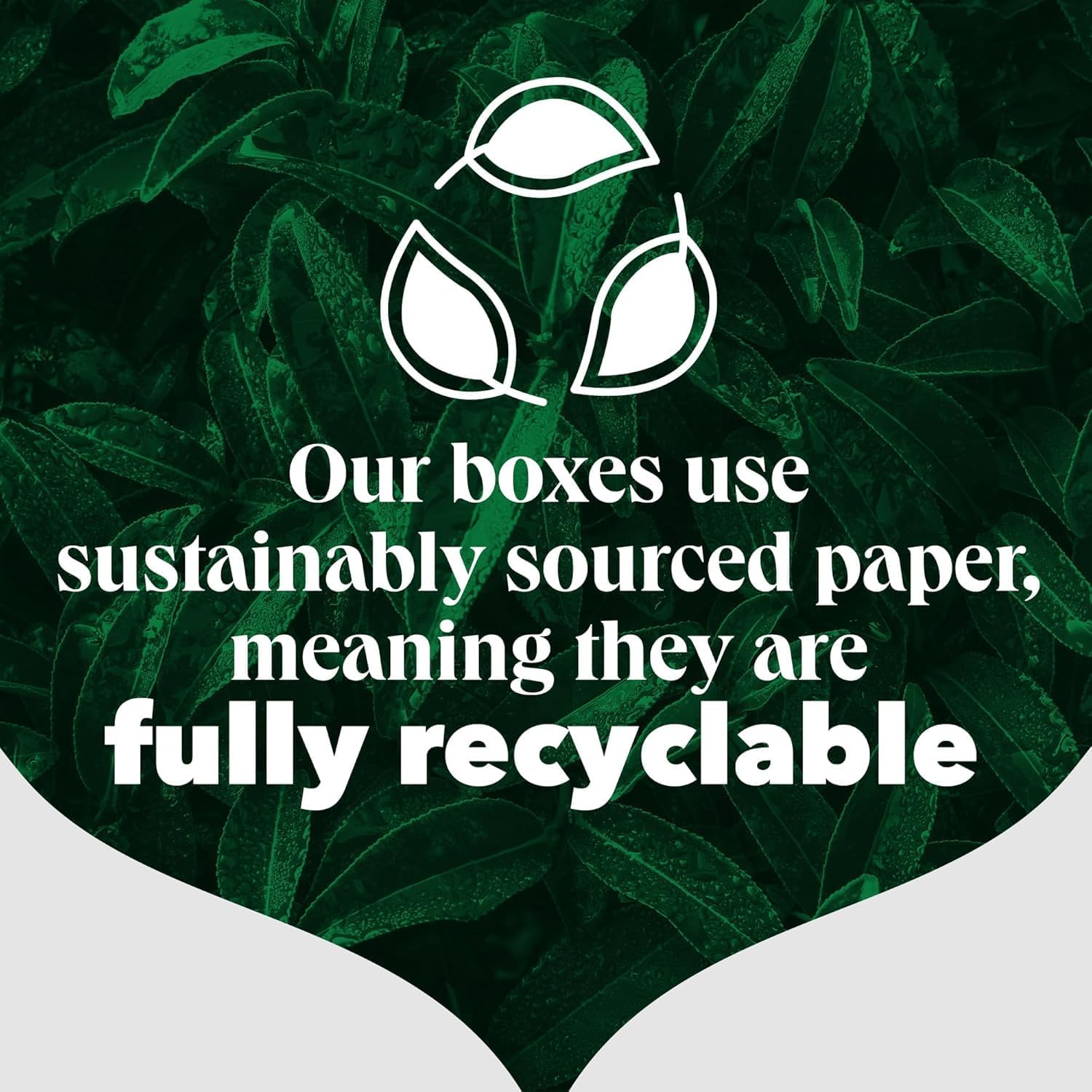 Recyclable symbol with text about sustainably sourced paper on a leafy green background
