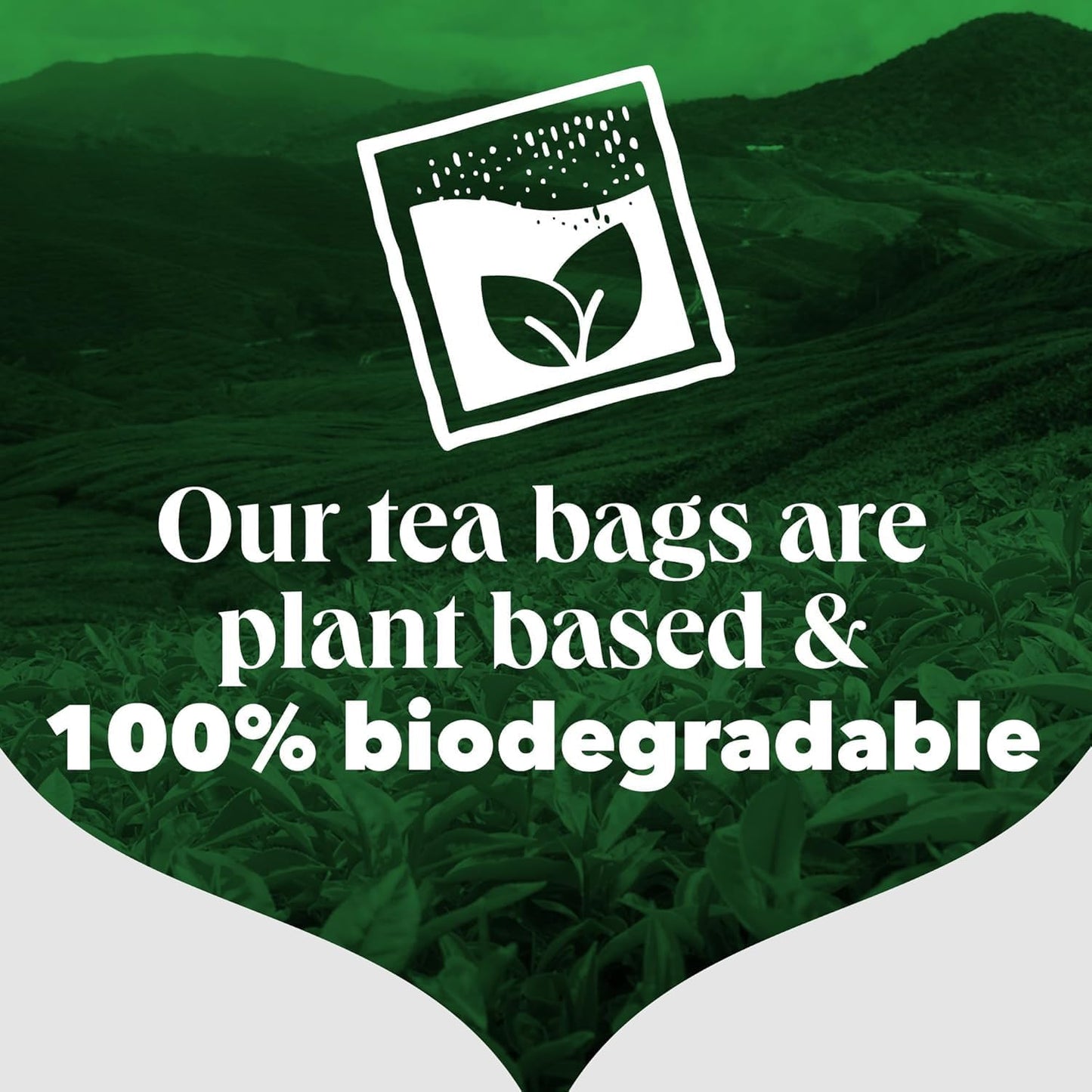 Tea plantation with a logo and text about plant-based and biodegradable tea bags.