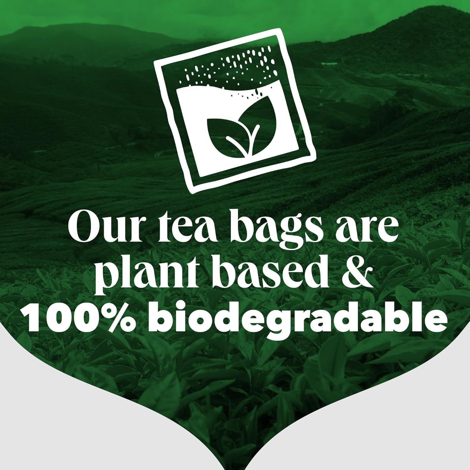 Tea plantation with a logo and text about plant-based and biodegradable tea bags.