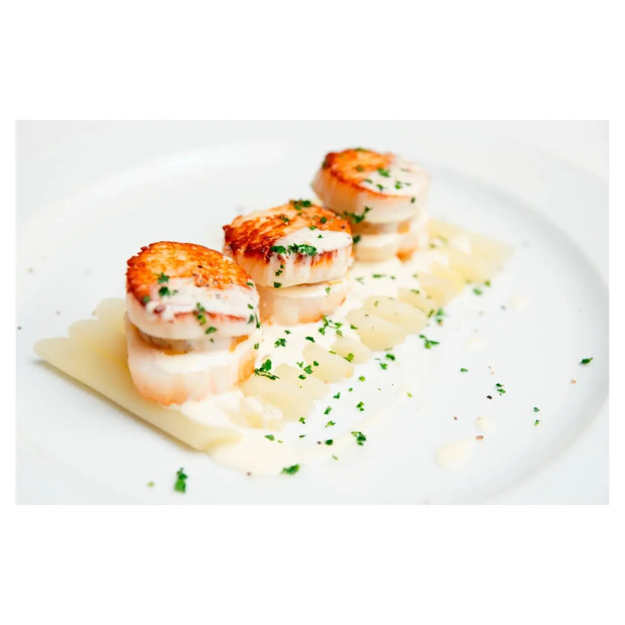 Seared scallops on a bed of Creamy Parsley Sauce with garnishes on a white plate.
