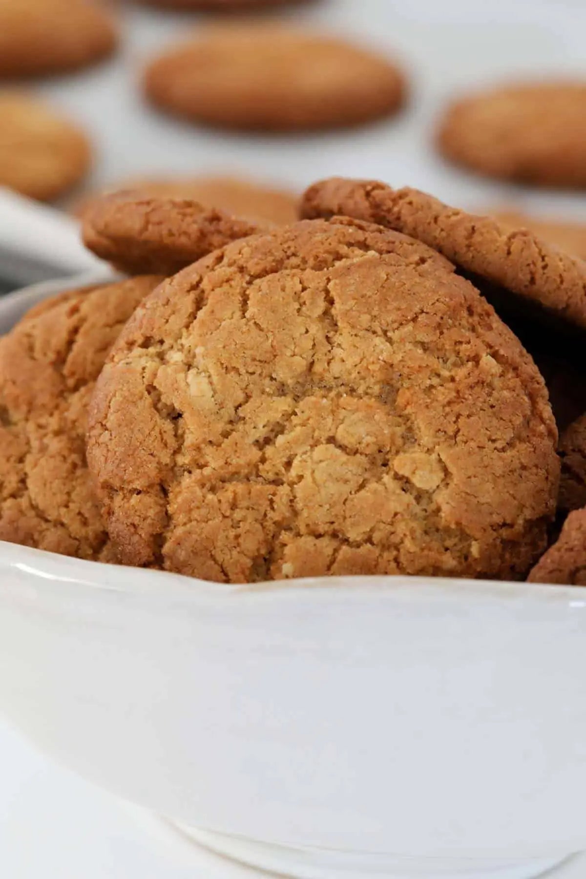 Ginger Nut Biscuit in a white bowl with more cookies in the background