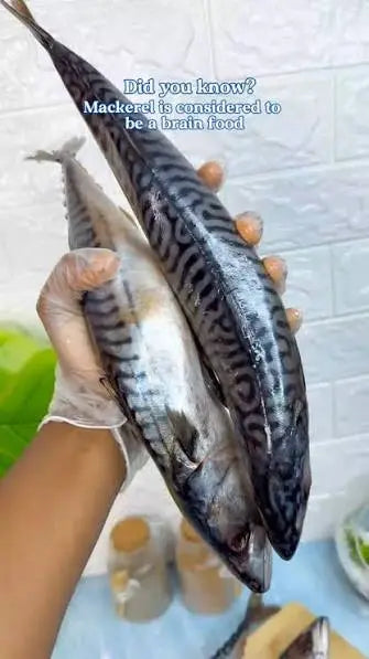 A person wearing a clear glove holds two whole mackerel fish over a countertop. White text at the top reads, 'Did you know? Mackerel is considered to be a brain food.