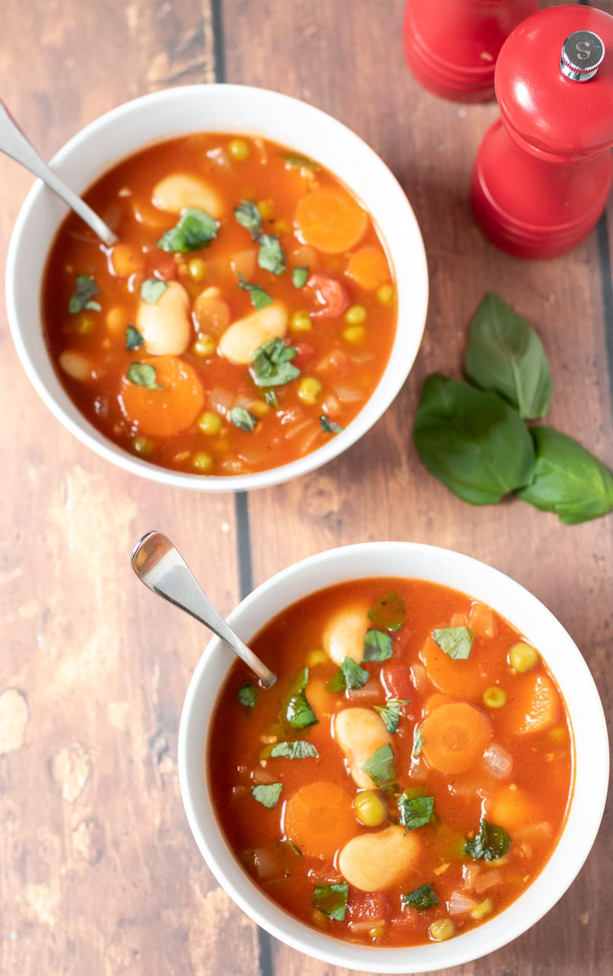 Vegetable Soup  – British Soup, Buy British PH